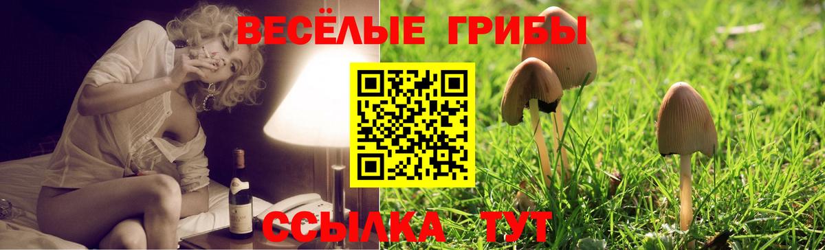 Галлюциногенные грибы мицелий  Галлюциногенные грибы Cubensis  Вход с VPN  как найти закладки  Павлово 